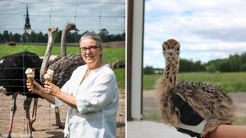 Mot avstigningsorten